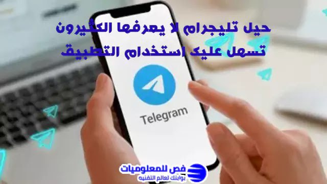 فص للمعلوميات