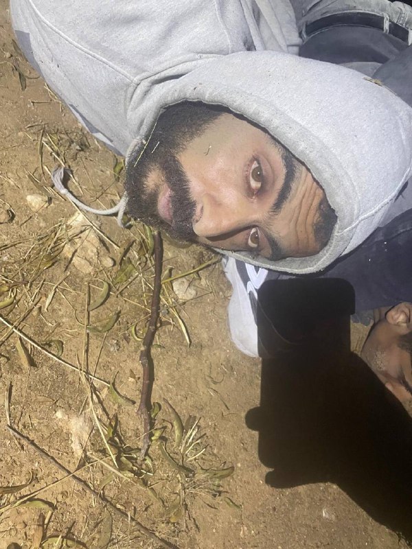 فجر نيوز