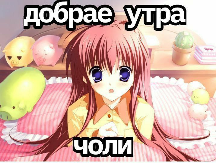 ДОБРАЕ УТРИ ЧЮВАКИ***😝***