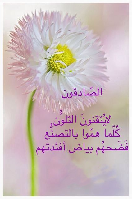 الأسرة والمجتمع