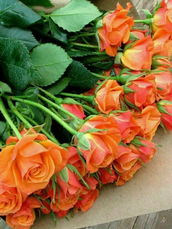 ***💚*****به اندازه