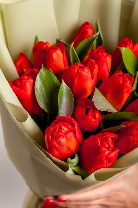 FAN_FLOWERS