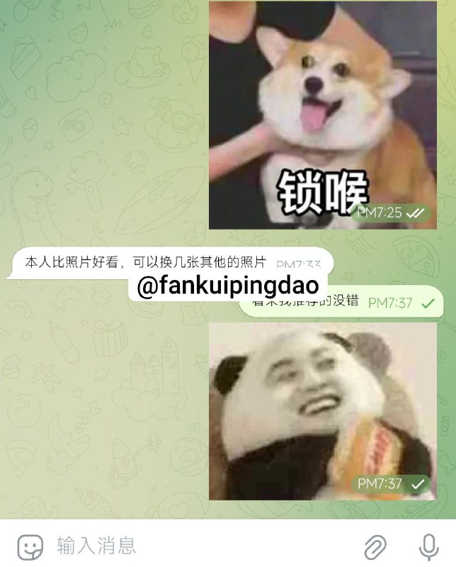 星星外围反馈频道