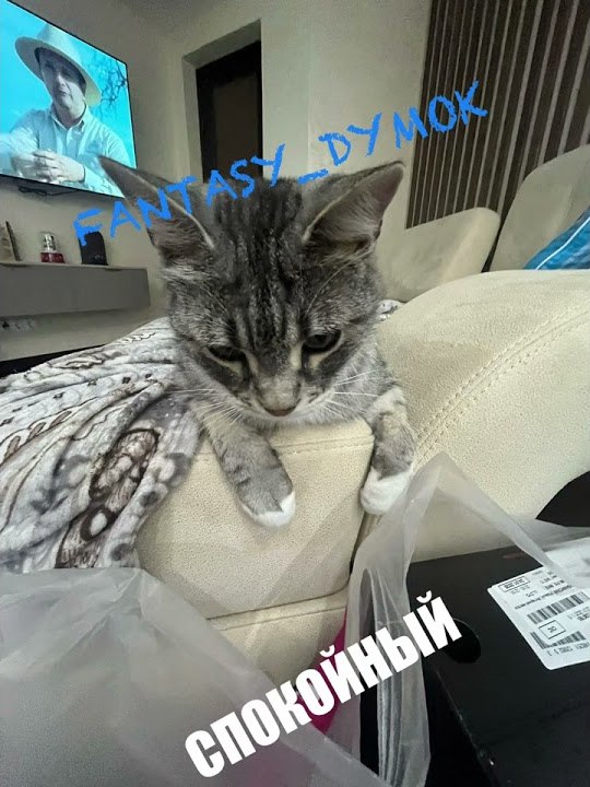 Новый релиз!