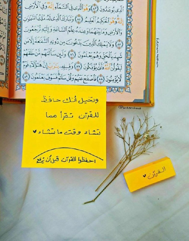 ***🤲***