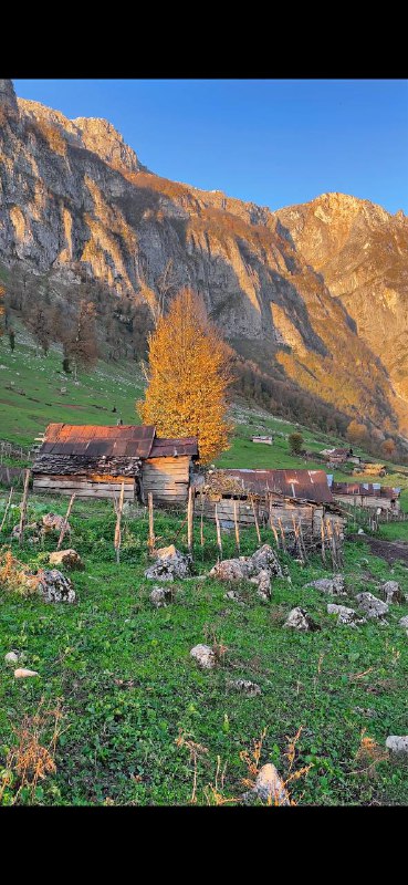 فرهاد و دوستداران طبیعت