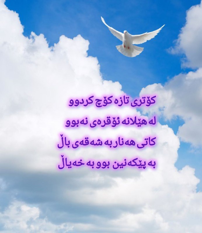 کۆتری کۆچ کردوو