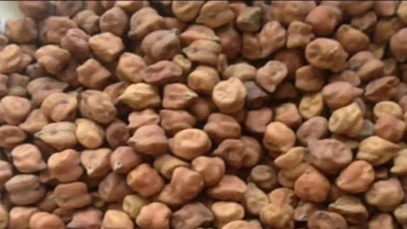 Soybean Gram Rate | हरभरा दरात …