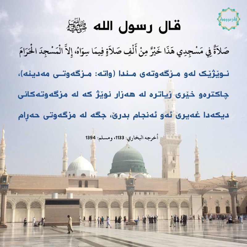 ***🩵***قال رسول الله ﷺ***🩵***