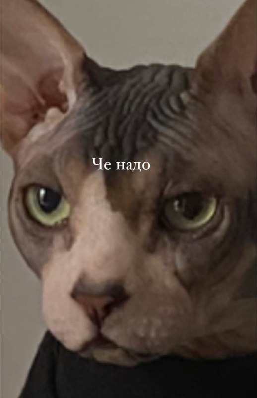Я сегодня