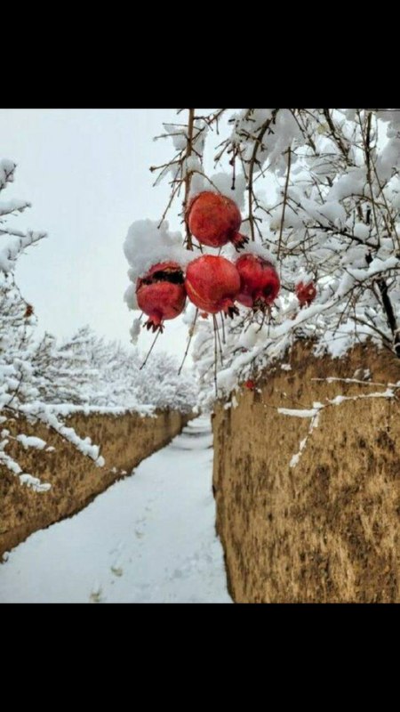 باشد که با فردی تو زندگی …