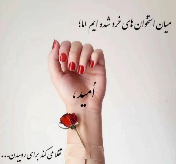 میان استخوان های خرد شده ایم …