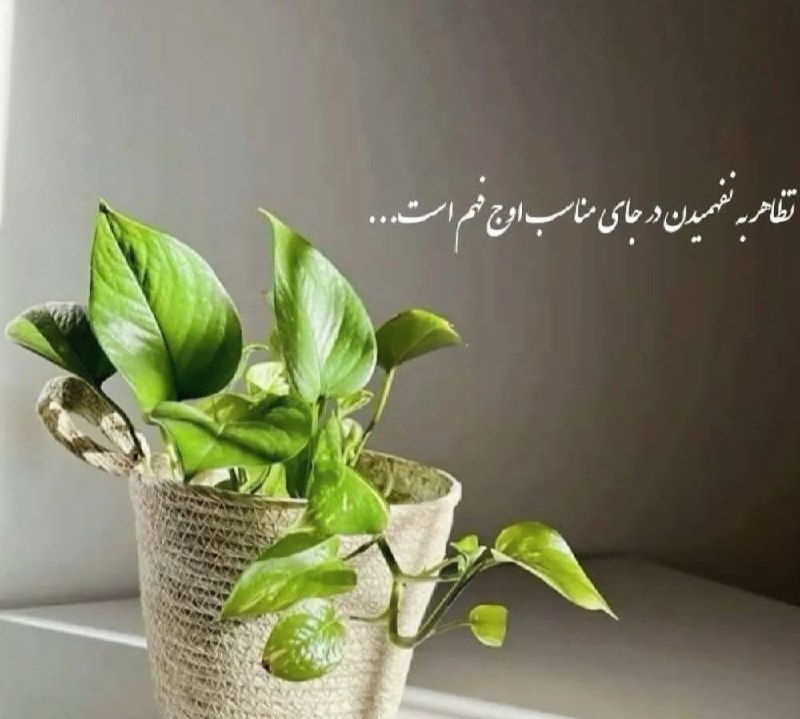 تظاهر به نفهمیدن در جای مناسب …