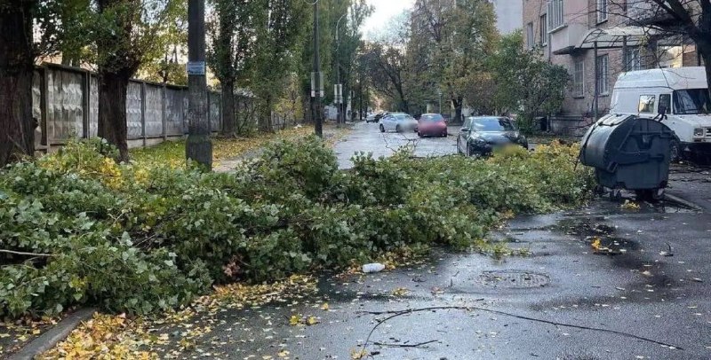 **Негода у Києві: сильний** [**вітер зриває …