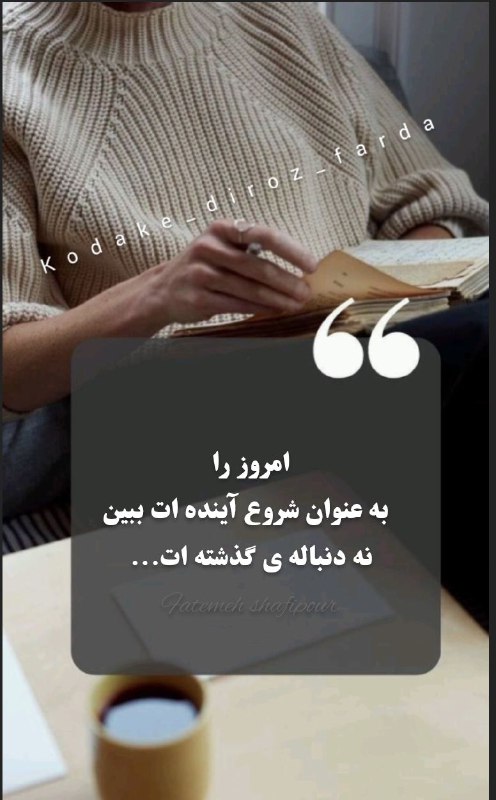 Fatemeh shafipour