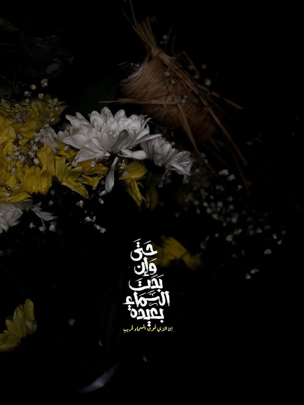 صَيّـادة .