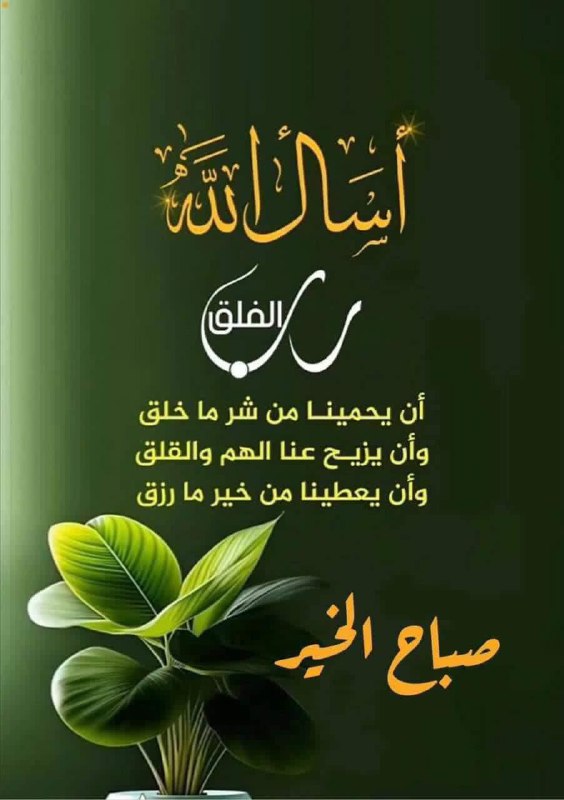 ❤️آحِـೋـلِـೋـآ حِـೋـبِـೋـ 𖠸.❤️