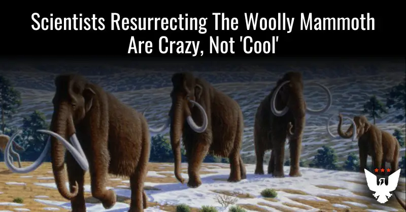 **Scientists Resurrecting The Woolly Mammoth Are Crazy, Not ‘Cool’**