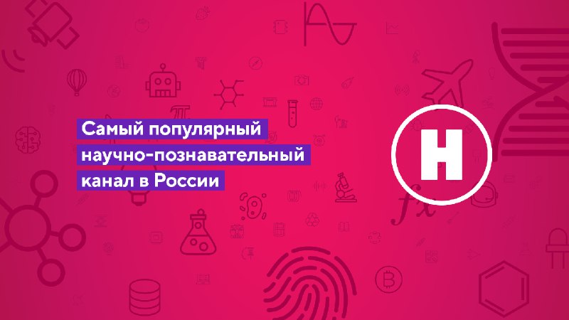 Дети ищут ихтиозавров!