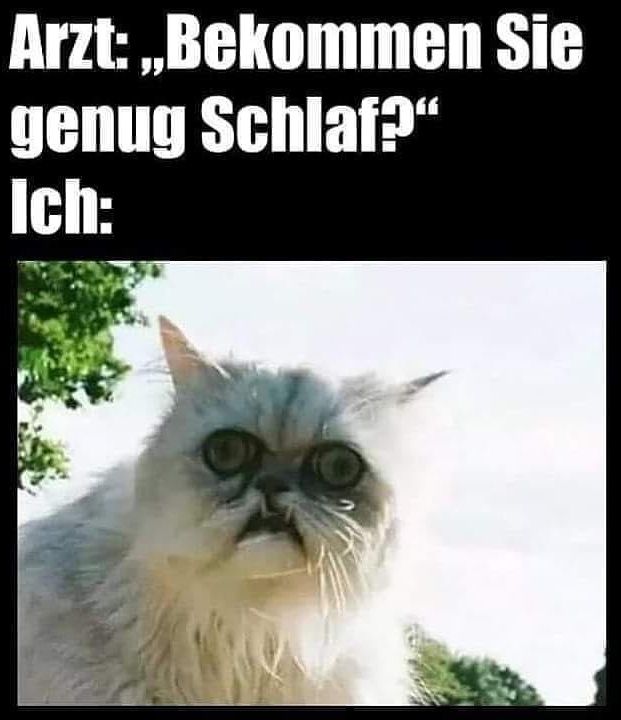 ***Zauberhafte Posts auf*** [***Feel Happy***](http://t.me/feelhappytg) ******💖******