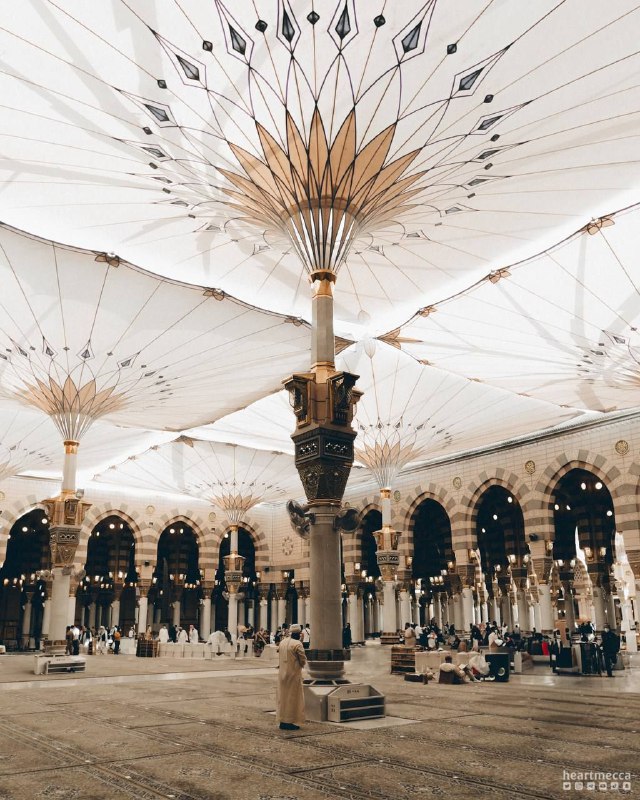 اللهم حبب إلينا المدينة "