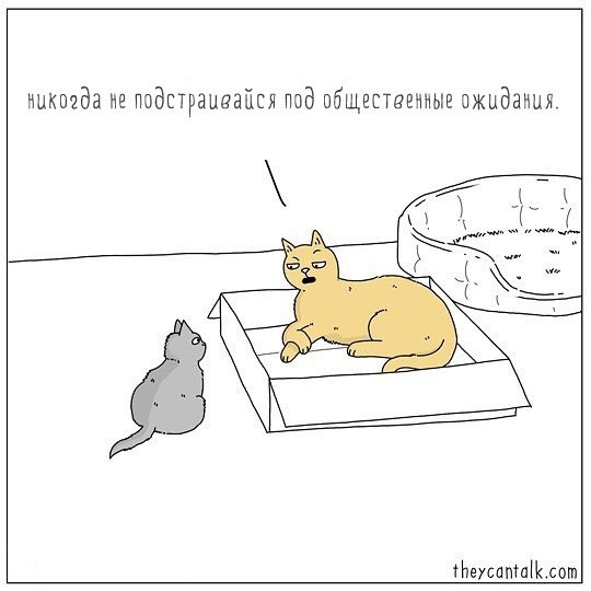 ФемКошка 😼