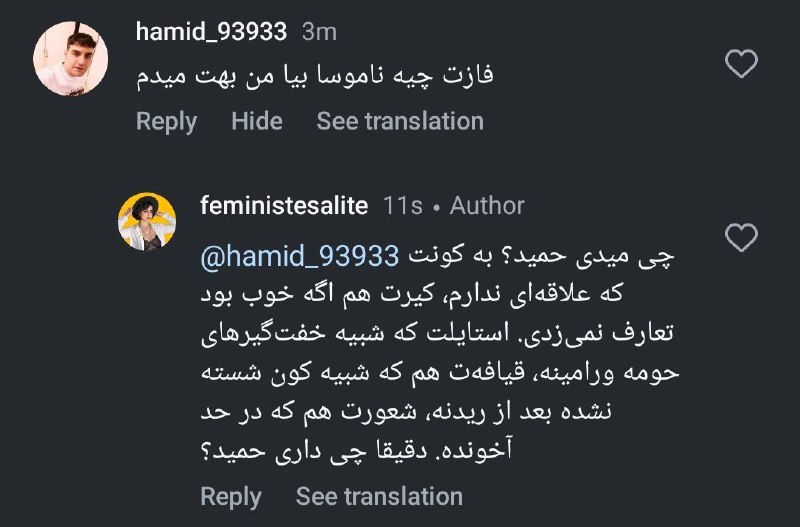 فمینیستِ سلیطه!