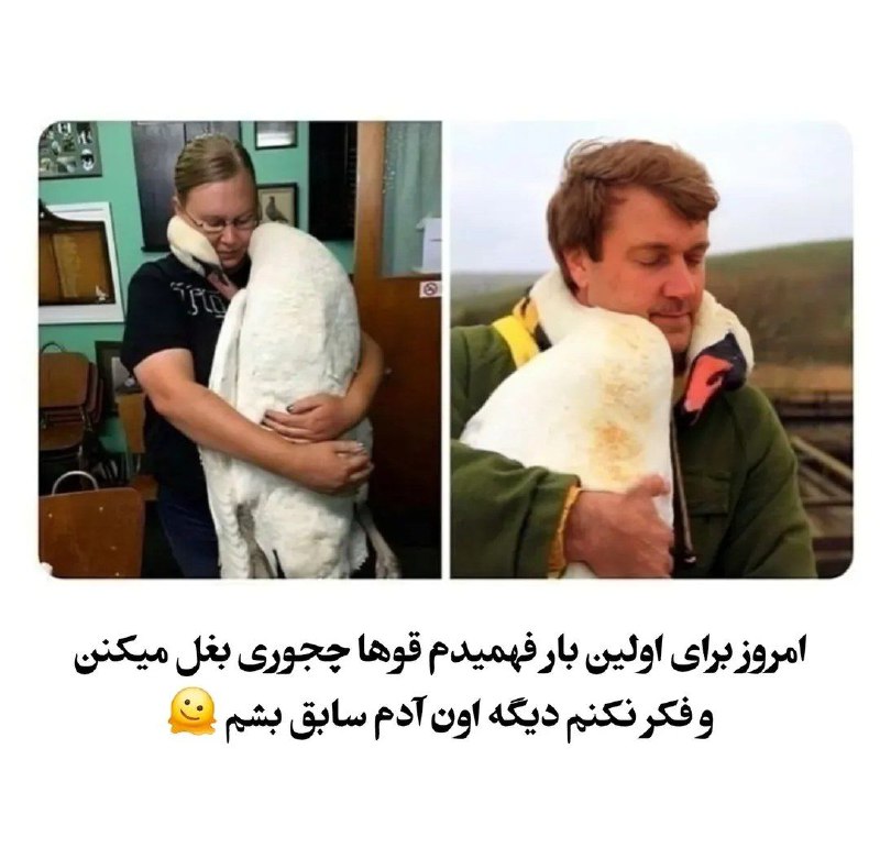 [@fenjansher2](https://t.me/fenjansher2) ***🥲***