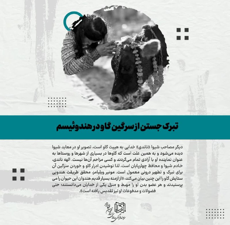 **تبرک جستن از سرگین گاو در …