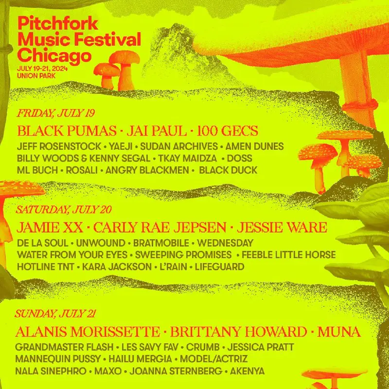 ***🇺🇸*** Pitchfork Festival 2024