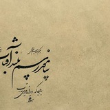 خرگوش سفید