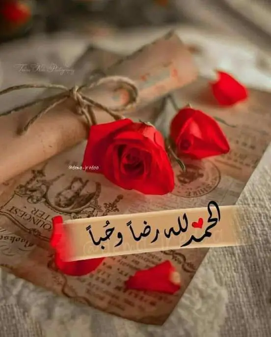 مخزن الصور والاقتباسات