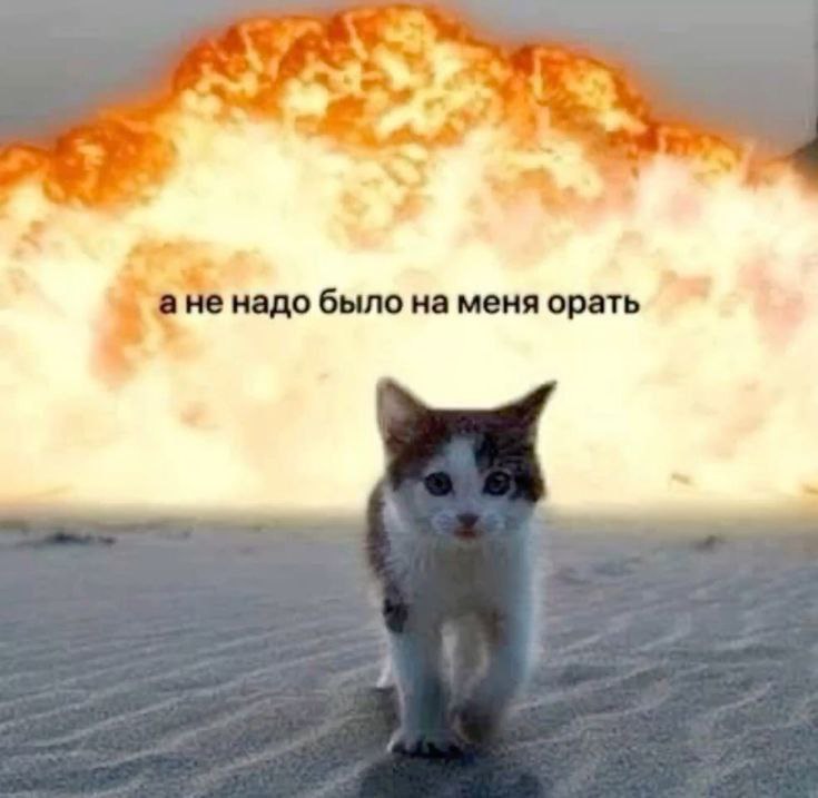 ***〰️******?******?******?******?*** ***?******?******?******〰️***