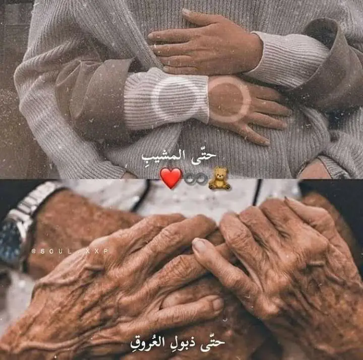 حتّى ذبولِ العُروقِ ***♥️******♾***.
