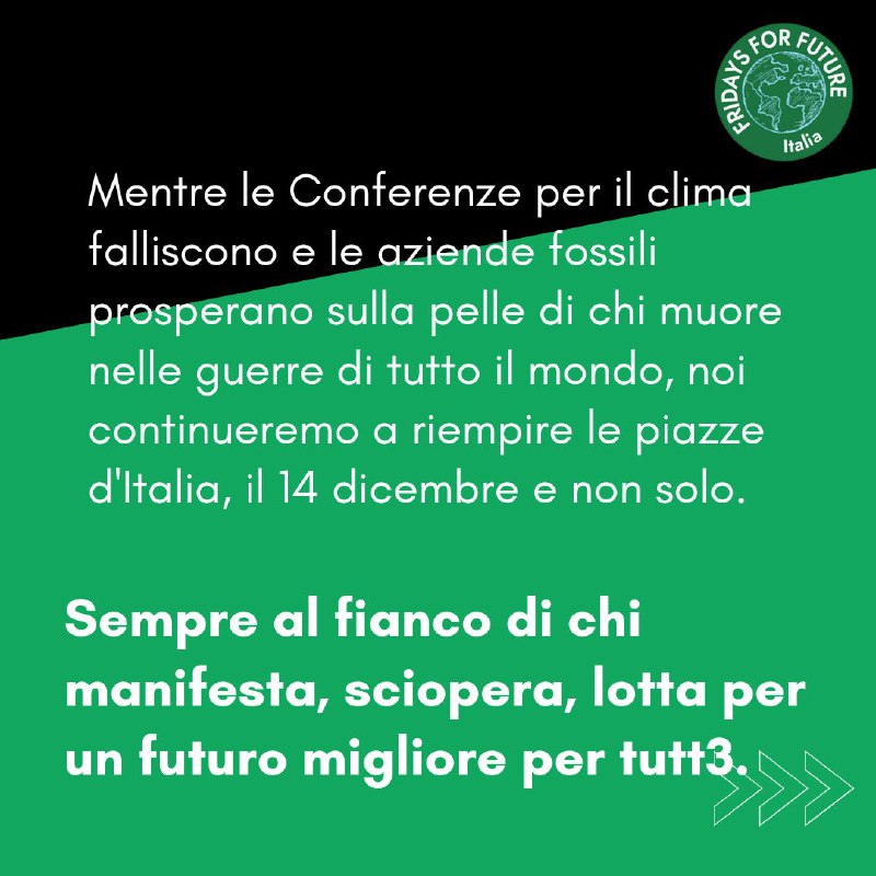 Fridays For Future • Italia