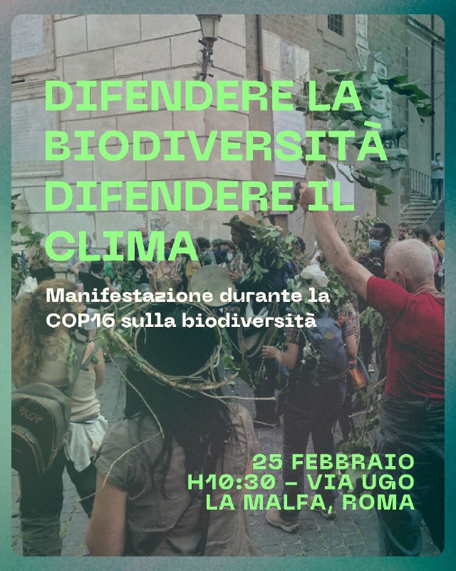 Fridays For Future • Italia