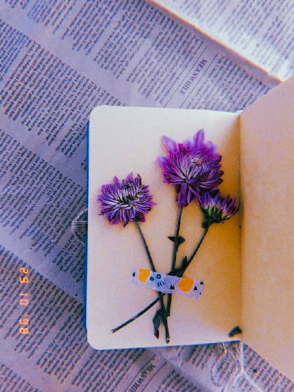 〄⛈َِ🂱طبٰأشيࢪ⛈*🥀✨