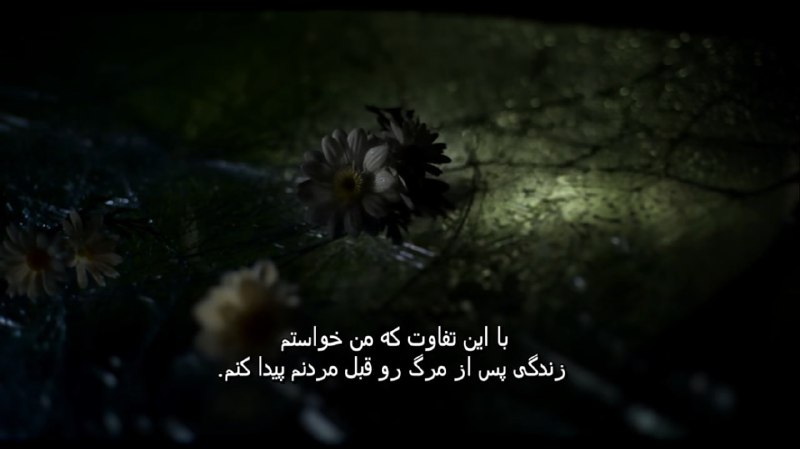 فیبونای چی؟
