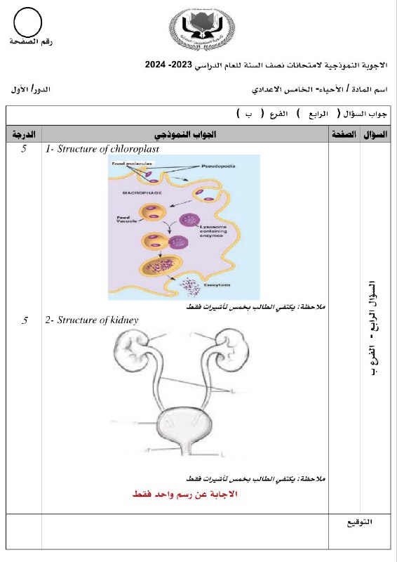 قناة الخامس اعدادي_معا نصل للنجاح