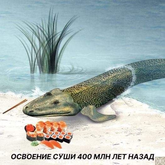 Грязное животное🏴‍☠