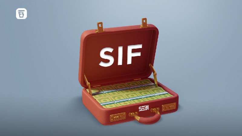 [An explainer on SIFs](https://finshots.in/archive/an-explainer-on-sifs/)