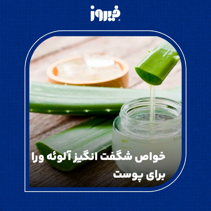 شما همگی از فواید گیاه آلوئه …