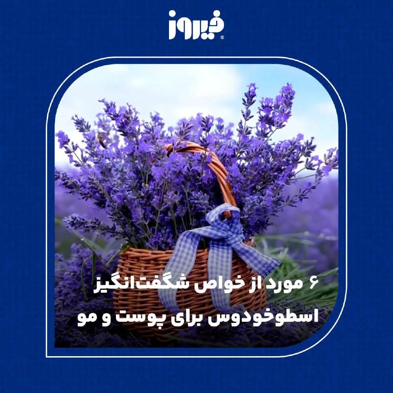 ***?*** **گیاه معجزه‌گر!** این بهترین توصیفی …