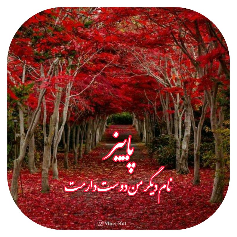 پاییز آمده‌ست که خود را ببارمت!