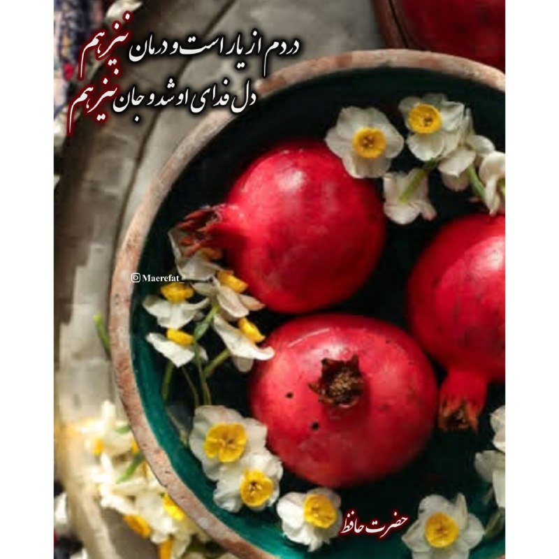***?*** پناه بر ادبیات