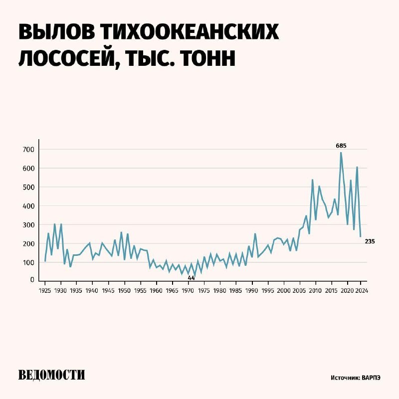 **Вылов лососевых в 2024 году составил …