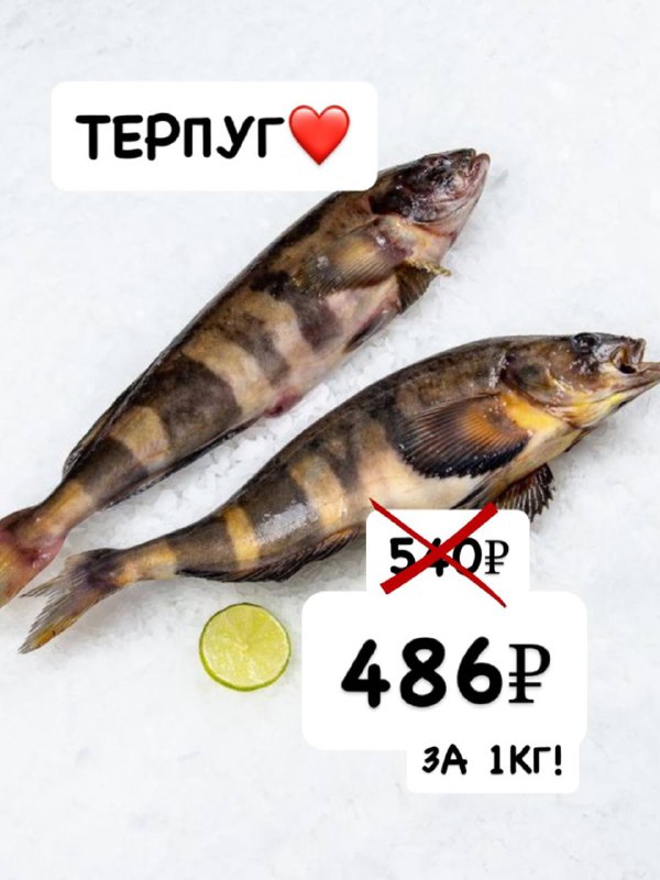 🐠FISHKA-МОРЕПРОДУКТЫ