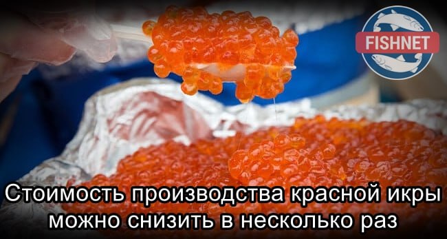 ***🐟*** В России есть технологии, позволяющие …