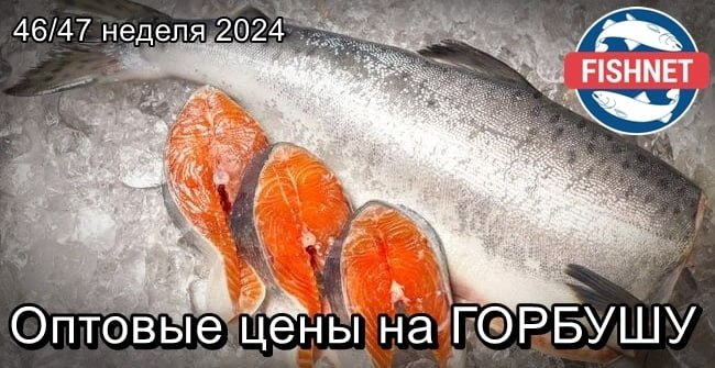 ***🐟*** Оптовые цены на с/м ГОРБУШУ …