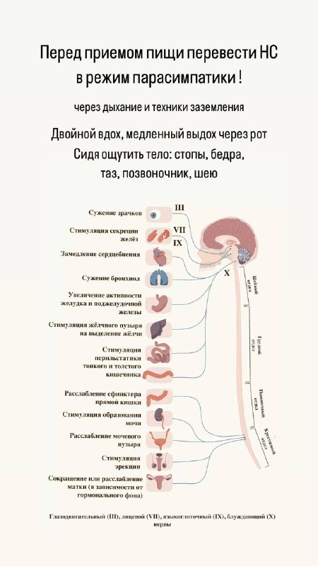 Фитнес katro_fuete